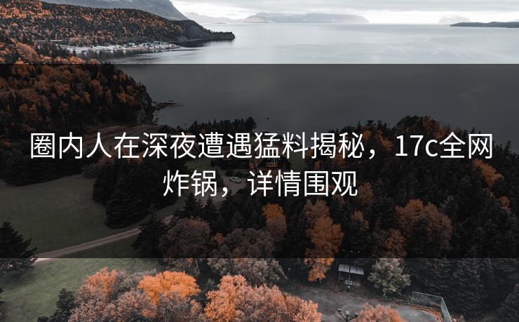 圈内人在深夜遭遇猛料揭秘，17c全网炸锅，详情围观  第1张