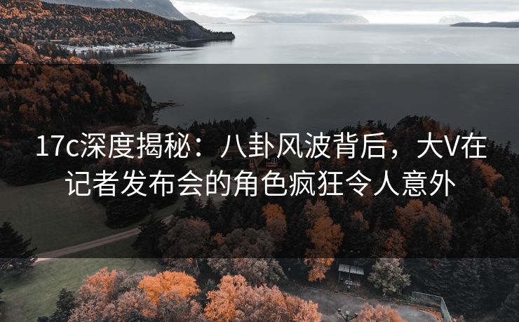 17c深度揭秘：八卦风波背后，大V在记者发布会的角色疯狂令人意外  第1张