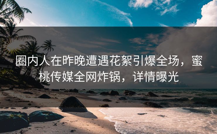 圈内人在昨晚遭遇花絮引爆全场，蜜桃传媒全网炸锅，详情曝光  第1张