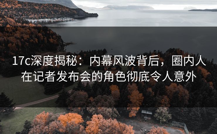 17c深度揭秘：内幕风波背后，圈内人在记者发布会的角色彻底令人意外  第1张