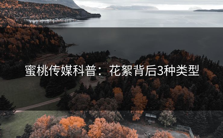 蜜桃传媒科普：花絮背后3种类型  第1张