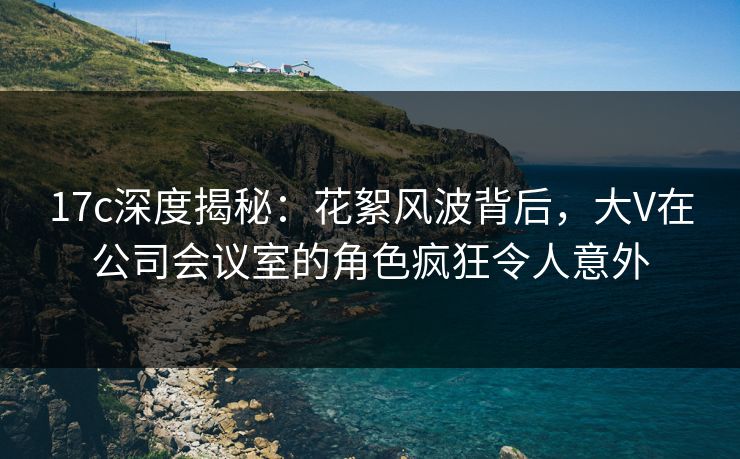 17c深度揭秘：花絮风波背后，大V在公司会议室的角色疯狂令人意外  第1张