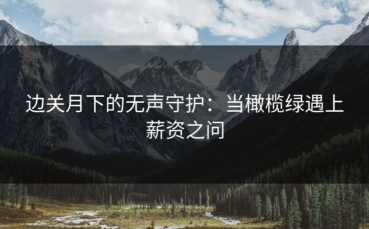 边关月下的无声守护：当橄榄绿遇上薪资之问  第1张