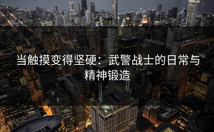 当触摸变得坚硬：武警战士的日常与精神锻造  第1张