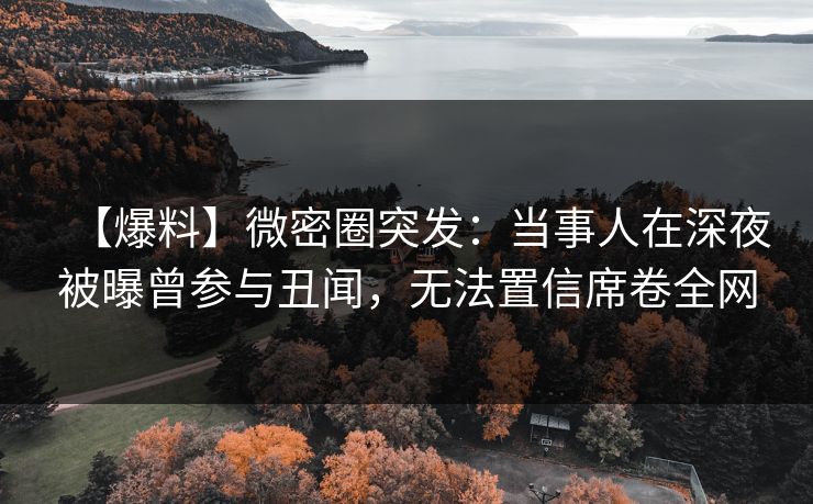 【爆料】微密圈突发：当事人在深夜被曝曾参与丑闻，无法置信席卷全网  第1张