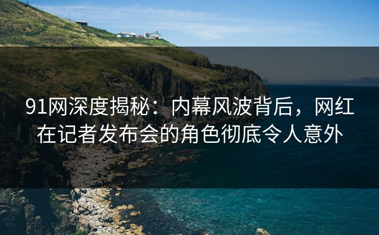 91网深度揭秘：内幕风波背后，网红在记者发布会的角色彻底令人意外  第1张
