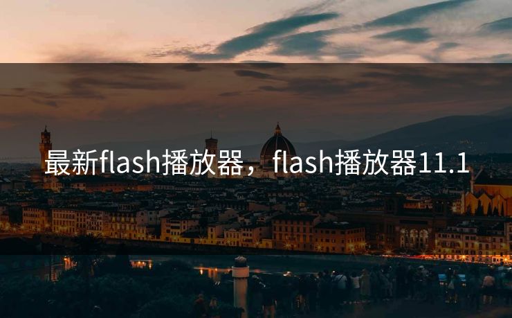 最新flash播放器，flash播放器11.1  第1张