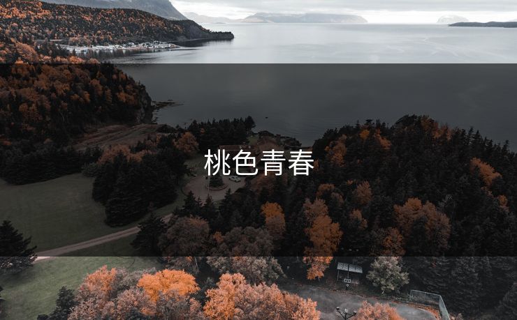 桃色青春  第1张