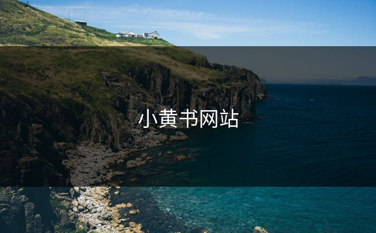 小黄书网站  第1张