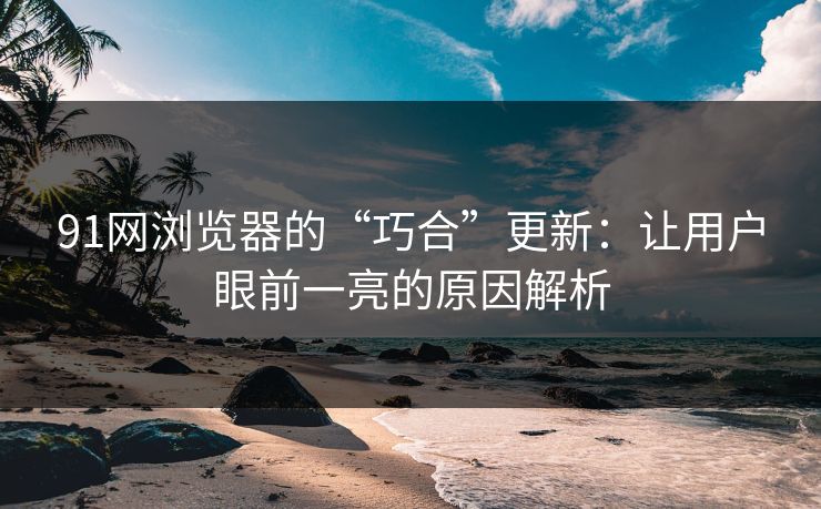 91网浏览器的“巧合”更新：让用户眼前一亮的原因解析