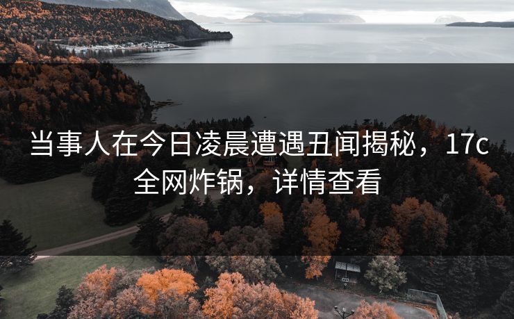 当事人在今日凌晨遭遇丑闻揭秘，17c全网炸锅，详情查看