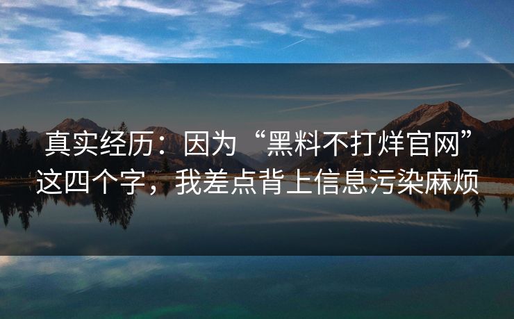 真实经历:因为“黑料不打烊官网”这四个字,我差点背上信息污染麻烦 第1张 真实经历:因为“黑料不打烊官网”这四个字,我差点背上信息污染麻烦 第1张