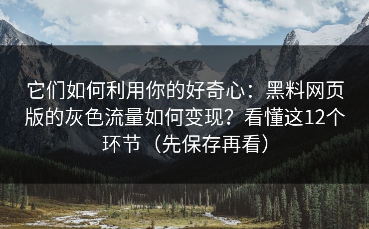 它们如何利用你的好奇心：黑料网页版的灰色流量如何变现？看懂这12个环节（先保存再看）